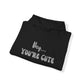 Hey... You're Cute Pullover Hoodie (Available In Other Colors)